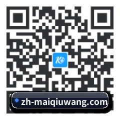 iOS 苹果版 二维码